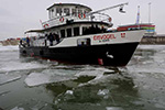 Die Eisvogel im Februar 2012