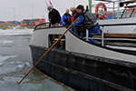 Die Eisvogel im Februar 2012