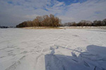 Die Eisvogel im Februar 2012