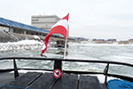 Die Eisvogel im Februar 2012