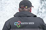 Die Eisvogel im Februar 2012
