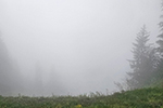 Teilweise hängen die Wolken sehr tief; © R. Kvech