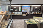 Fossilienausstellung; &copy; Josef Eminger
