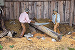 Erlebniswelt Holzknechtland; &copy; Josef Eminger